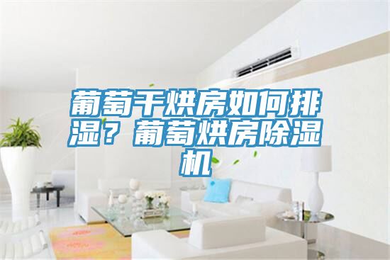 葡萄干烘房如何排濕？葡萄烘房除濕機