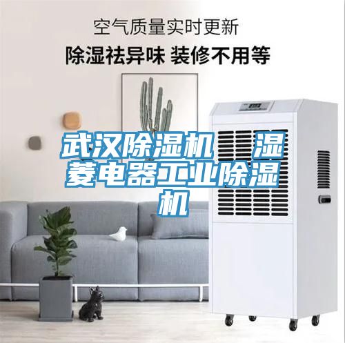 武漢除濕機  濕菱電器工業(yè)除濕機