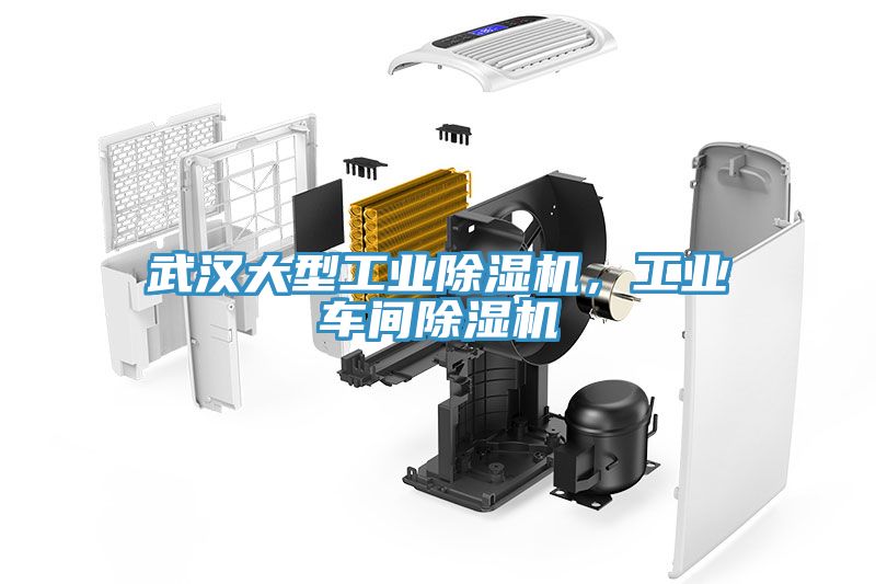 武漢大型工業除濕機，工業車間除濕機