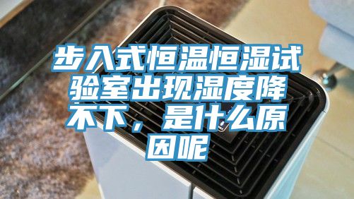 步入式恒溫恒濕試驗室出現濕度降不下，是什么原因呢