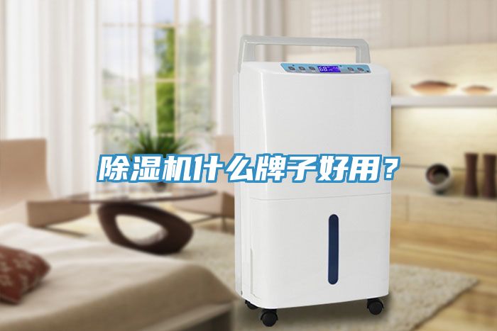 除濕機什么牌子好用？