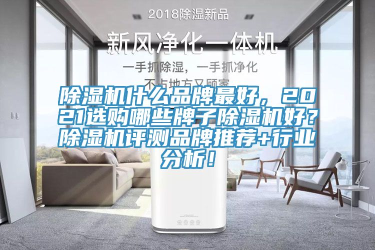 除濕機什么品牌最好，2021選購哪些牌子除濕機好？除濕機評測品牌推薦+行業分析！