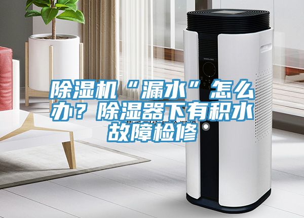 除濕機(jī)“漏水”怎么辦？除濕器下有積水故障檢修