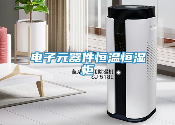 電子元器件恒溫恒濕柜