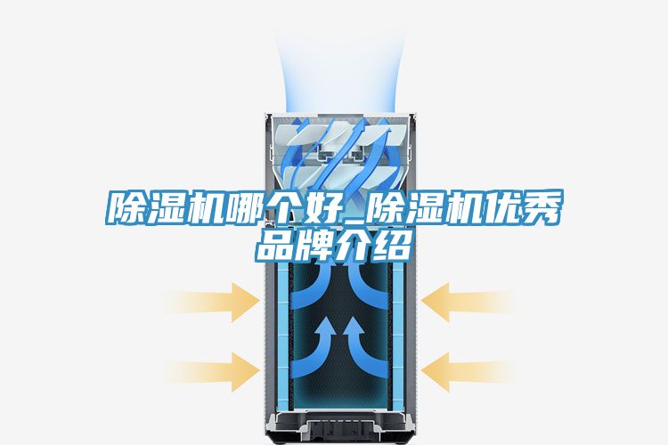 除濕機哪個好_除濕機優秀品牌介紹