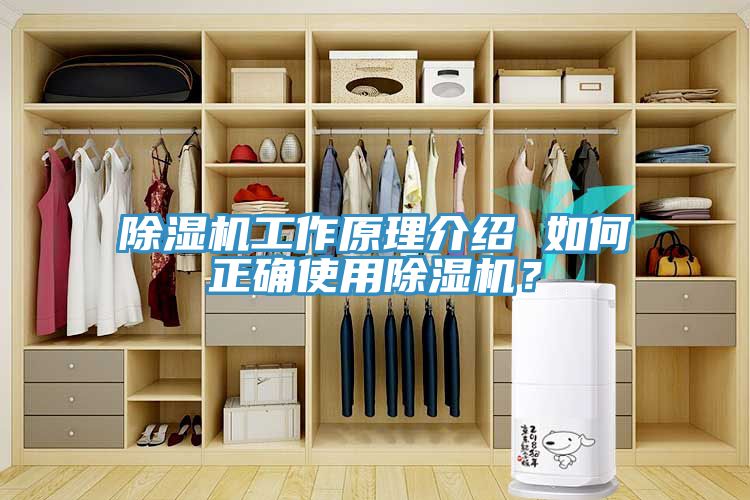 除濕機工作原理介紹 如何正確使用除濕機？