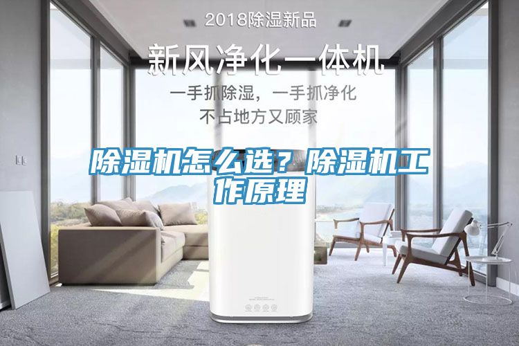 除濕機怎么選？除濕機工作原理